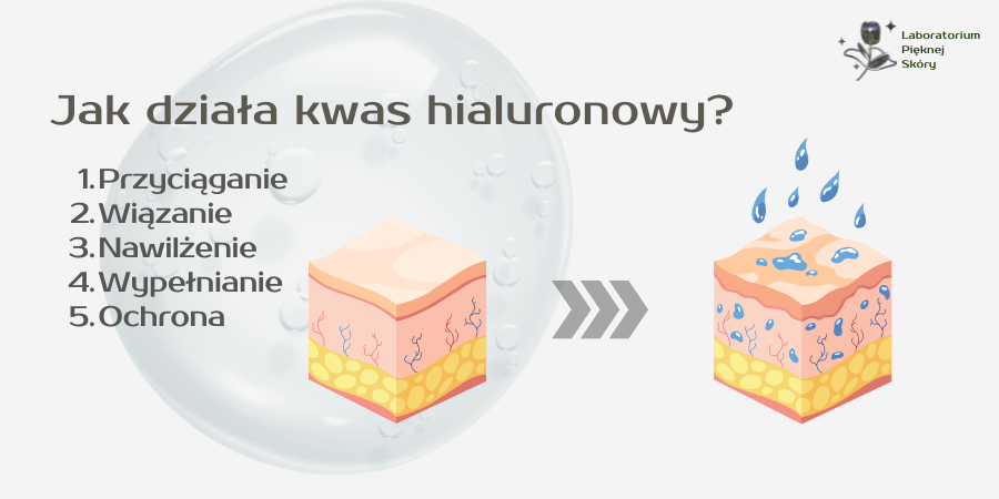 Jak działa kwas hialuronowy